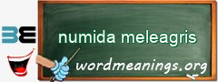 WordMeaning blackboard for numida meleagris